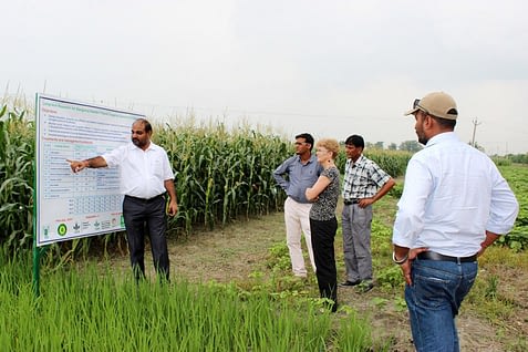 M.L. Jat shows resilient cropping system options for eastern Indo-Gangetic plains at BISA farm