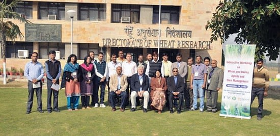 The wheat plant protection group attend interactive group meeting at IIWBR, Karnal, India. Photo: CIMMYT