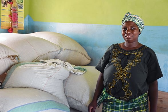 Eliamani Saitati, a farmer in Olkolili village in northern Tanzania, shows her harvest from HB513, a variety that is both nitrogen-use efficient and drought tolerant.
