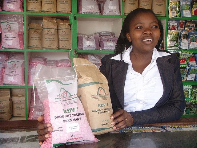 A shop attendant displays drought-tolerant seed at the Dryland Seed Company shop in Machakos, Kenya. (Photo: CIMMYT)