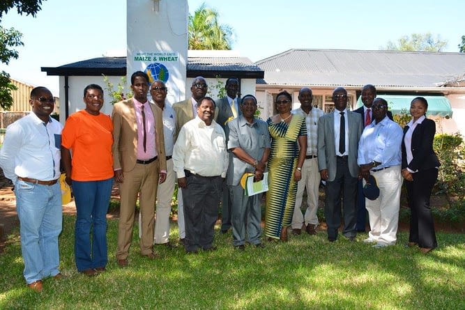 African ambassadors learned about CIMMYT-promoted agricultural technologies while visiting the CIMMYT-Southern Africa Regional Office (CIMMYT-SARO) in Harare, Zimbabwe. Photo: Johnson Siamachira/CIMMYT
