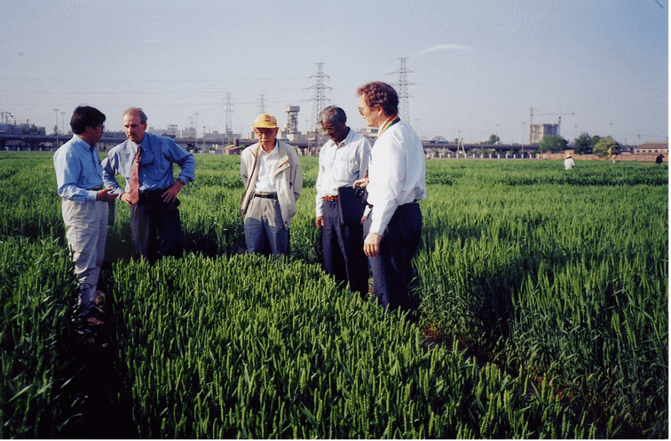 Zhuang Qiaosheng (center) receives CIMMYT delegations in Beijing in 1997. (Photo: CIMMYT)