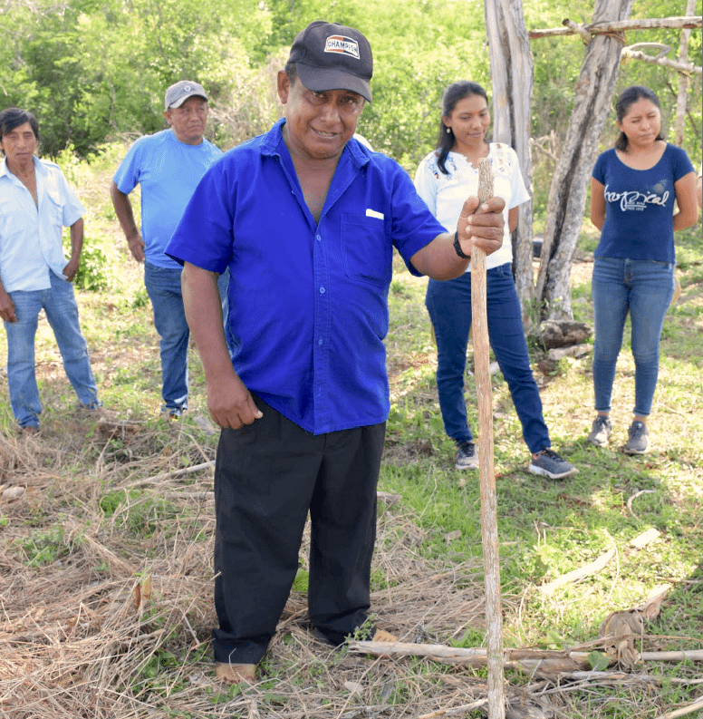 Francisco Canul Poot in his land. (Photo: CIMMYT)