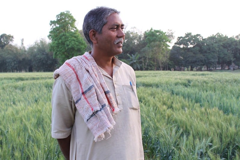 Farmer Raj Narayin Singh stands in his wheat field in Bihar, India. (Photo: Petr Kosina/CIMMY)