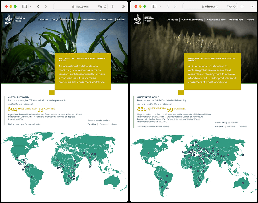 The new MAIZE legacy website (left) and WHEAT legacy website launched today. 