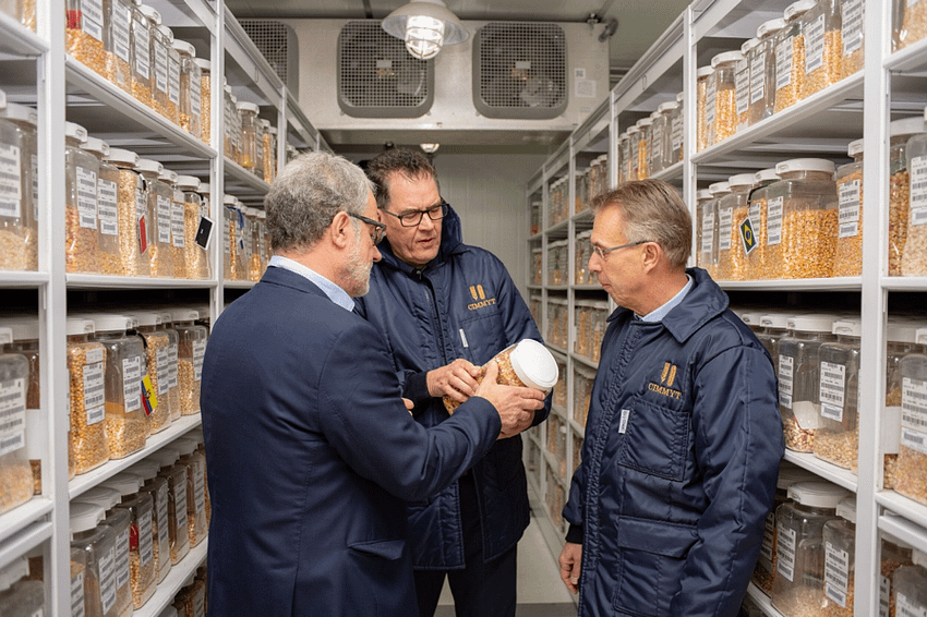 The director of CIMMYT’s Global Wheat Program, Hans Braun (left), shows one of the 28,000 unique maize seed varieties housed at CIMMYT’s genebank, the Wellhausen-Anderson Plant Genetic Resources Center. (Photo: Alfonso Cortés/CIMMYT)