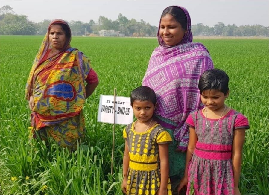 Hosneara Bibi (top-right) shows her zero-tillage wheat crop. (Photo: SSCOP)