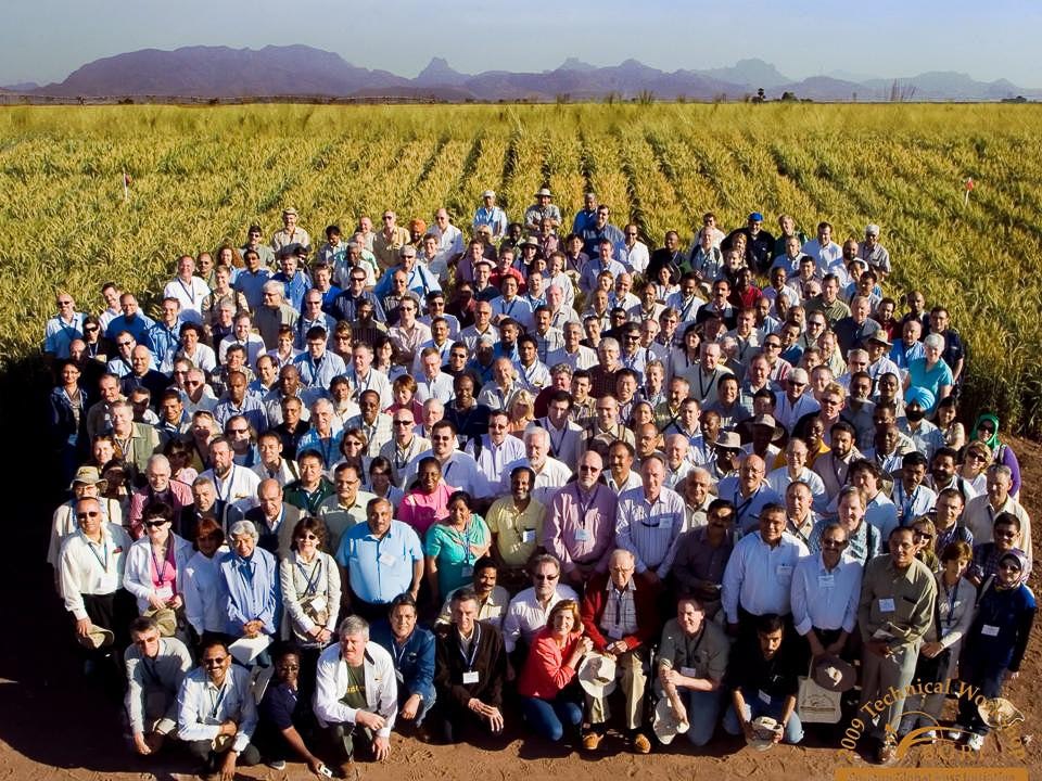 Participants in the first technical workshop of the Borlaug Global Rust Initiative in 2009 take a group photo at CIMMYT’s experimental station in Ciudad Obregón, Sonora, Mexico. (Photo: CIMMYT)