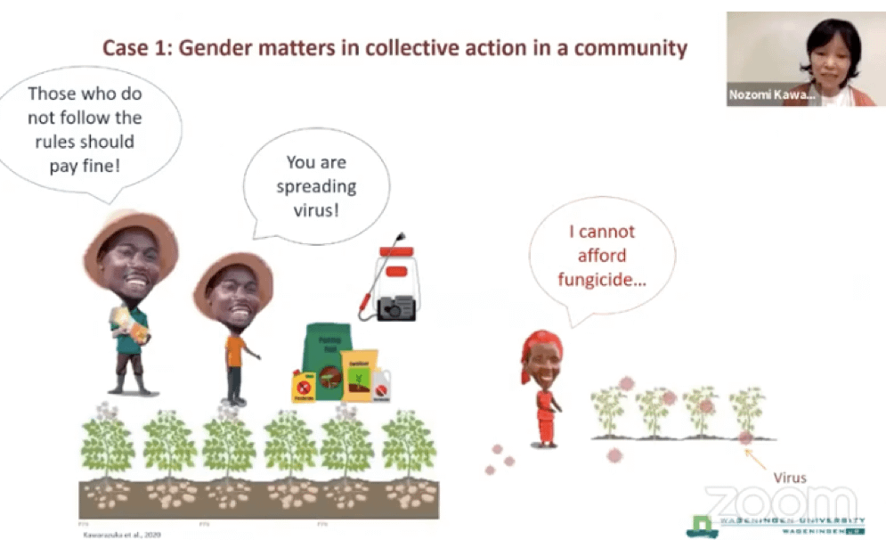 Gender and social dimensions of pest and disease control: a call for collaboration (Graphic: Nozomi Kawarazuka/CIP)