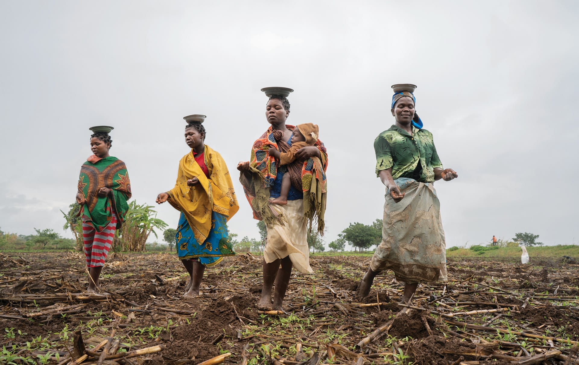 book-launch-lead-farmers-in-eastern-and-southern-africa-cimmyt