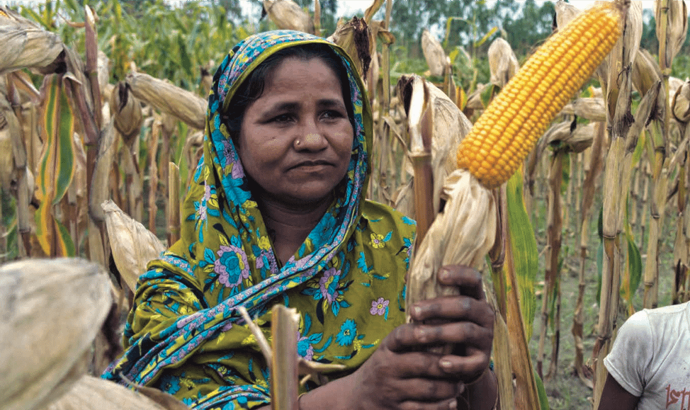 New publications: Exploring how women seize control of wheat–maize ...