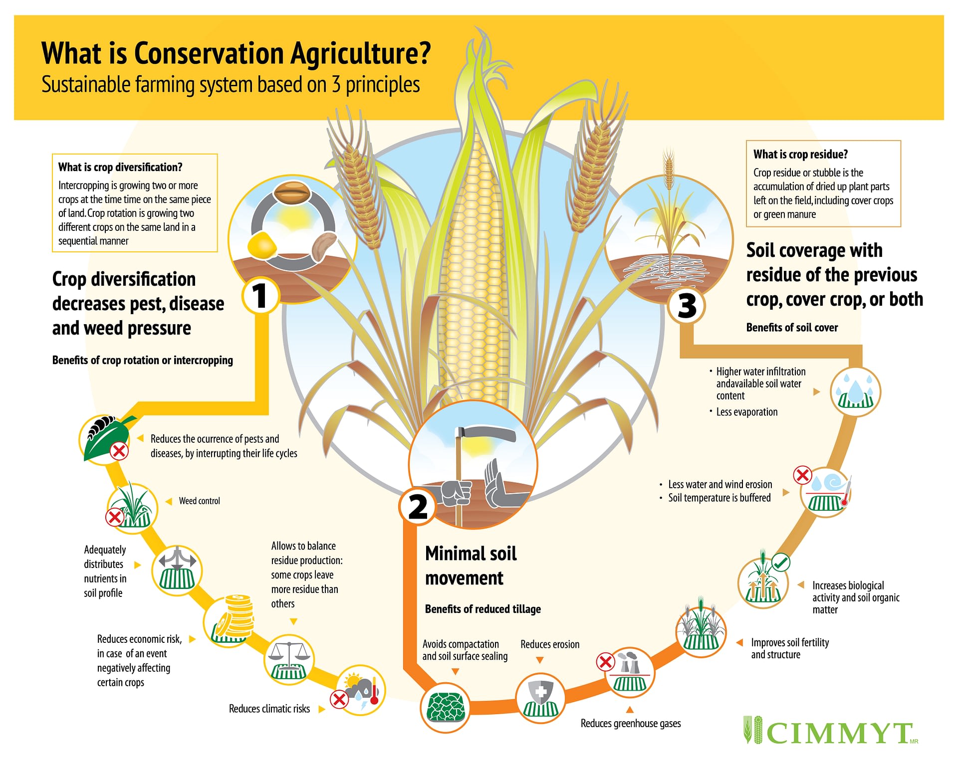 conservation of agriculture essay