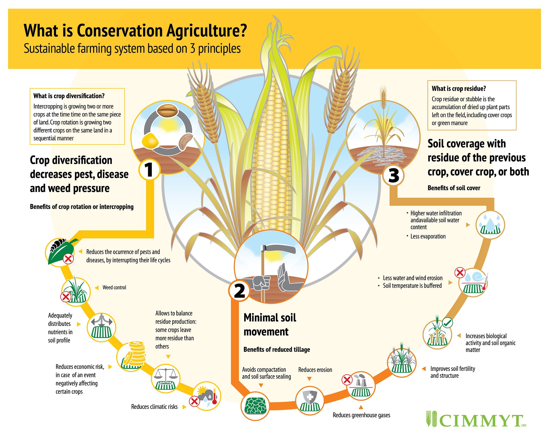 what-is-conservation-agriculture-cimmyt